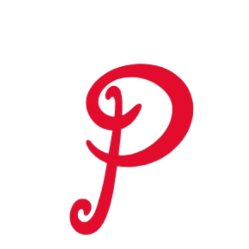 Prajay Techs Logo
